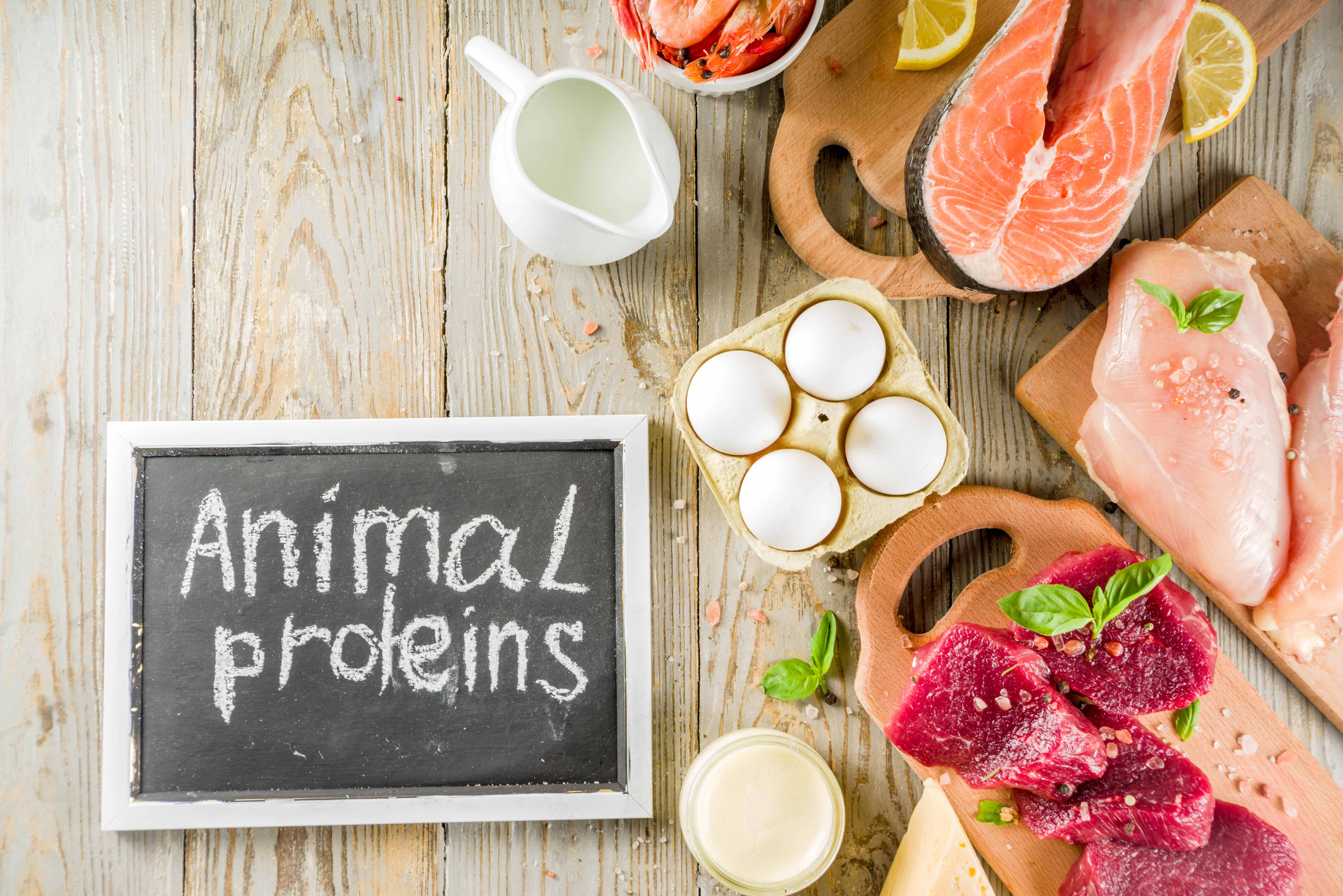 Основные функции белков в организме